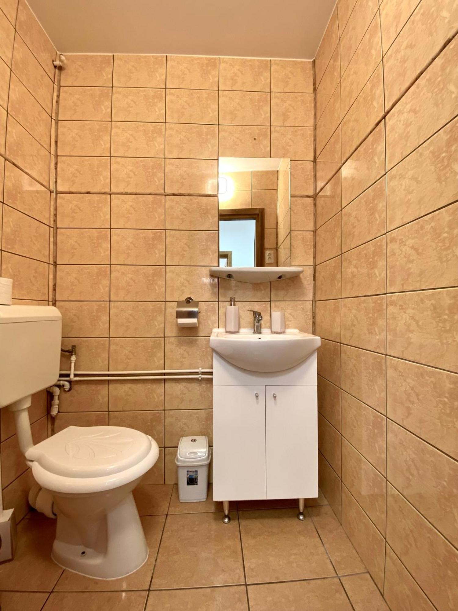 Kronstadt Apartment - Pet Friendly Brasov Bagian luar foto